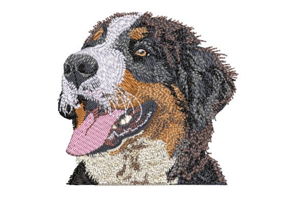 Bernese Mountain Dog: A Holiday Embroidery Review